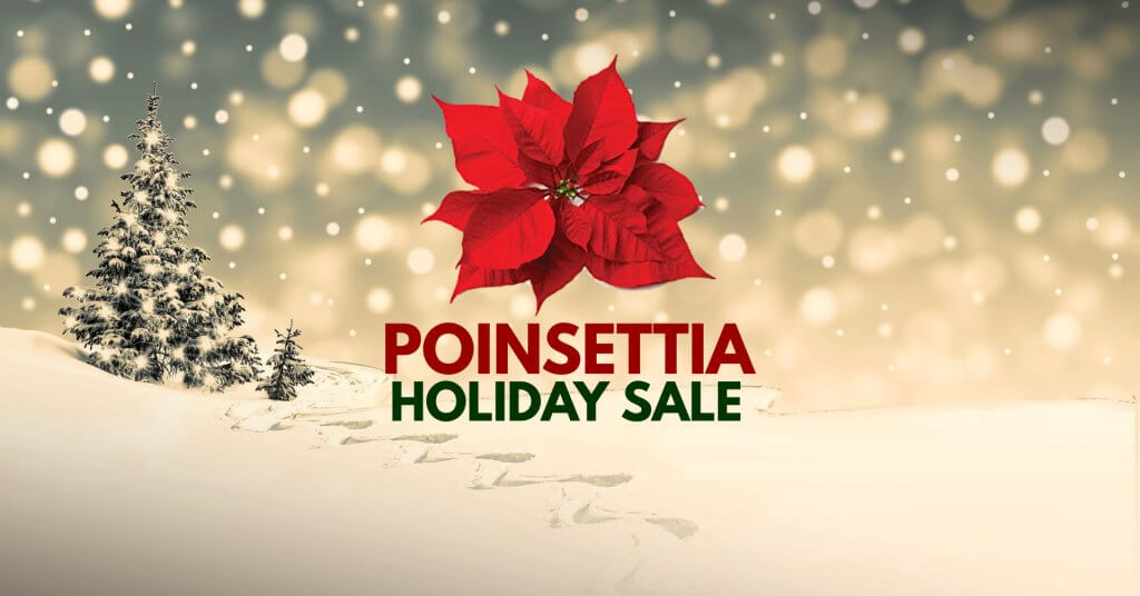 Poinsettias Holiday Sale