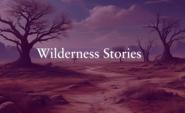 Wilderness Stories